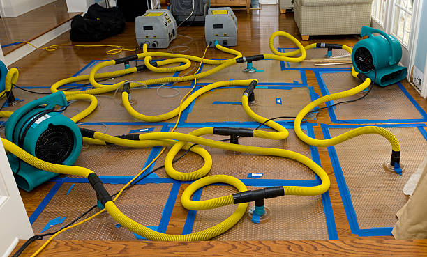 Professional Crawl Space Water Removal technician working in Mound, MN